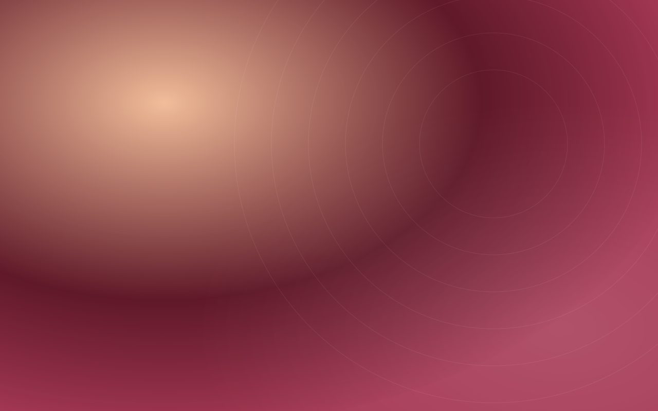 Dryer Vent Fire Risks (Christmas) — Christmas